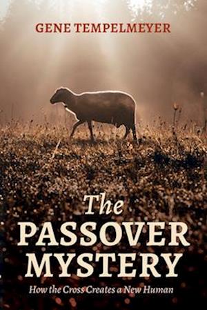 The Passover Mystery