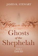 Ghosts of the Shephelah, Book 8 