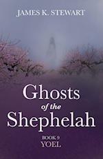 Ghosts of the Shephelah, Book 9 