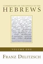Commentary on the Epistle to the Hebrews, Volume 1 