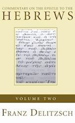 Commentary on the Epistle to the Hebrews, Volume 2 