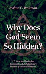 Why Does God Seem So Hidden? 