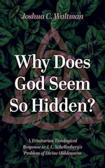 Why Does God Seem So Hidden?