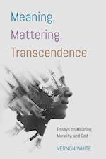 Meaning, Mattering, Transcendence 