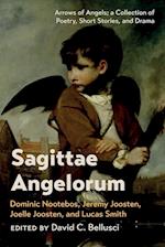 Sagittae Angelorum 