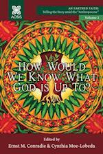 How Would we Know what God is up to?