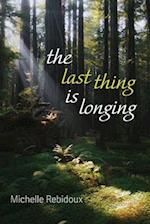 The Last Thing Is Longing