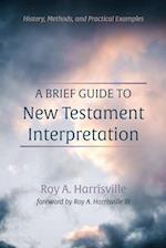 A Brief Guide to New Testament Interpretation 