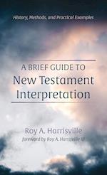 A Brief Guide to New Testament Interpretation 