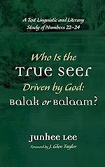 Who Is the True Seer Driven by God