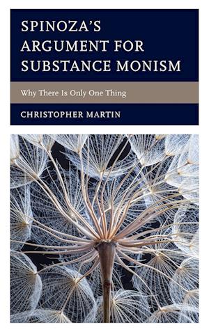 Spinoza’s Argument for Substance Monism