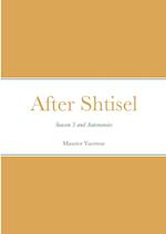 After Shtisel