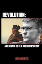 Revolution and How to Do it in a Modern Society 