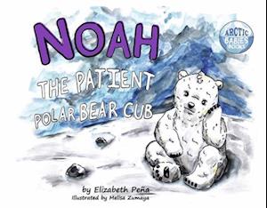 Noah the Patient Polar Bear Cub, 2