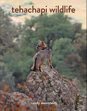 Tehachapi Wildlife