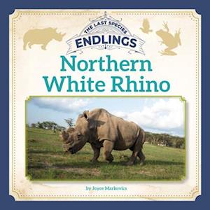 Northern White Rhino