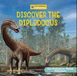 Discover the Diplodocus