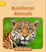 Rainforest Animals
