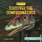 Discover the Compsognathus