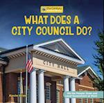 What Does a City Council Do?