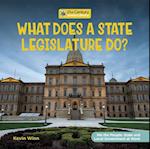 What Does a State Legislature Do?