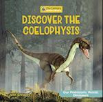 Discover the Coelophysis