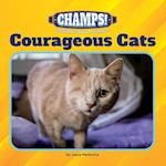 Courageous Cats