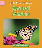 Animal Senses