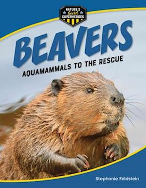 Beavers