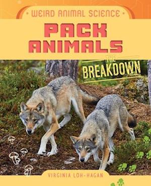 Pack Animals