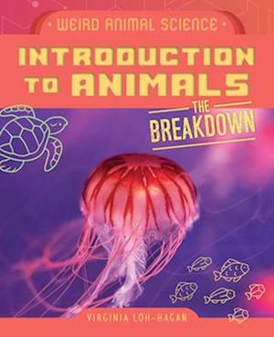 Introduction to Animals