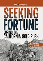 Seeking Fortune During the California Gold Rush