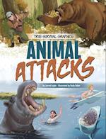 Animal Attacks