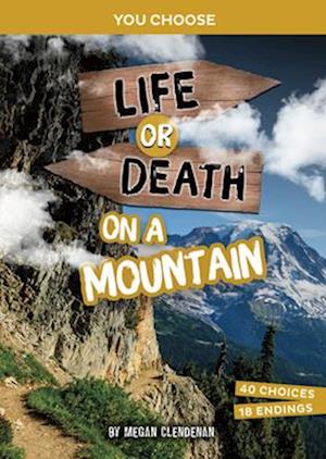 Life or Death on a Mountain