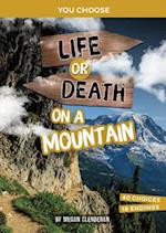 Life or Death on a Mountain