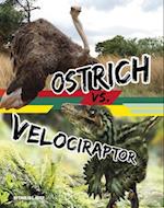 Ostrich vs. Velociraptor