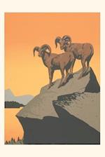 Vintage Journal Big Horn Sheep on Rocks