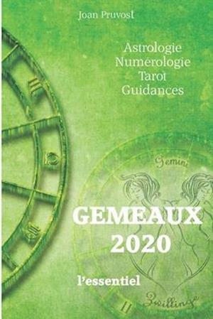 GEMEAUX 2020 - L'essentiel