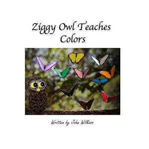 Ziggy Owl Teaches Colors