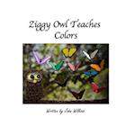 Ziggy Owl Teaches Colors