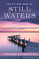 The Picture Book of Still Waters