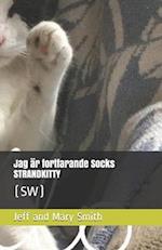 Jag är fortfarande Socks STRANDKITTY