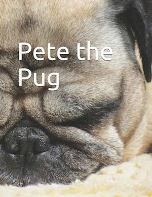 Pete the Pug