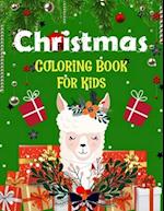 Christmas coloring book for kids.