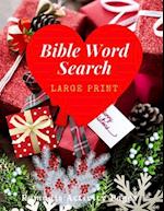 Bible Word Search Large Print