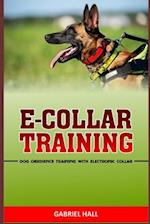 E-Collar Training
