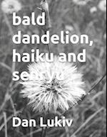 bald dandelion, haiku and senryu