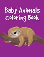 Baby Animals Coloring Book