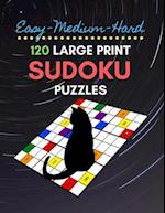 Easy Medium Hard 120 Large Print Sudoku Puzzles
