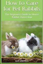 How to Care for Pet Rabbits: The beginners Guide to House Rabbit Ownership 